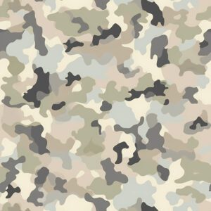 Arctic Shift Camouflage Fabric