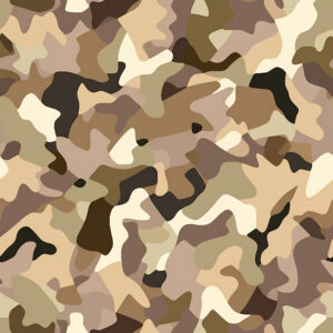 Arid Cover Camouflage Fabric