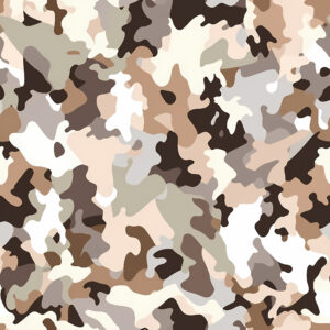 Canyon Frost Camouflage Fabric