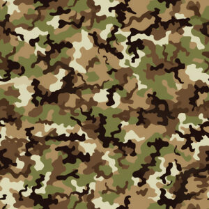 Canyon Morph Camouflage Fabric