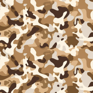 Canyon Trace Camouflage Fabric