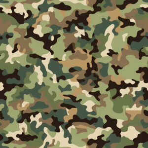 Chameleon Strike Camouflage Fabric