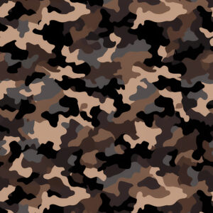 Flint Veil Camouflage Fabric