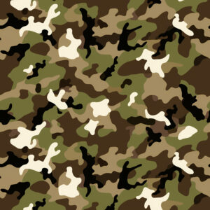 Gravel Shroud Camouflage Fabric
