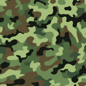 Mantis Fade Camouflage Fabric