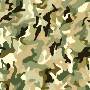Recon Charge Camouflage Fabric