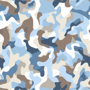 Recon Dawn Camouflage Fabric