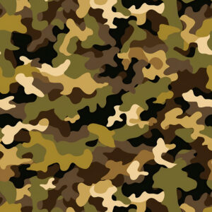 Shale Shadow Camouflage Fabric