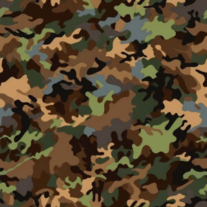 Steppe Blend Camouflage Fabric
