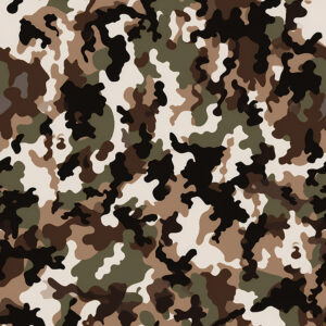 Steppe Dusk Camouflage Fabric