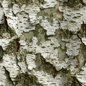 Alder Bark Silver Camo Fabric