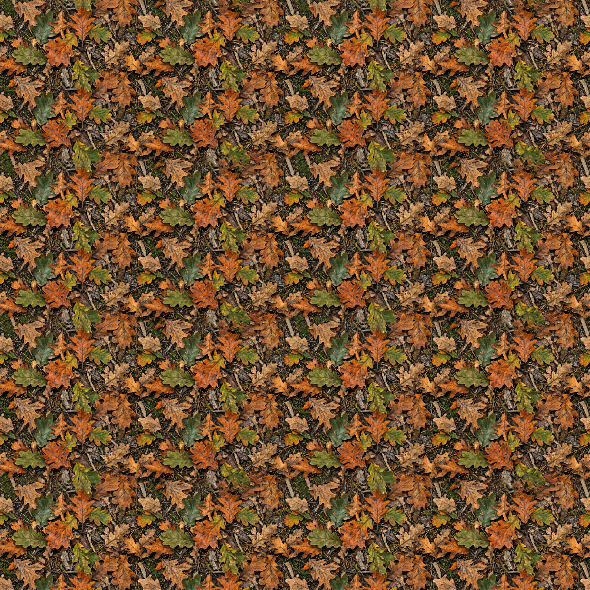 Autumn Oak Foliage Camouflage Fabric - Image 2