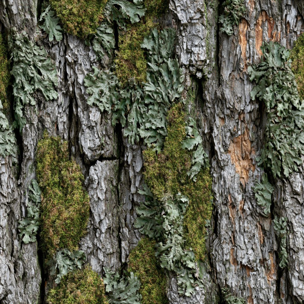 Oak Bark Mossy Camouflage Fabric