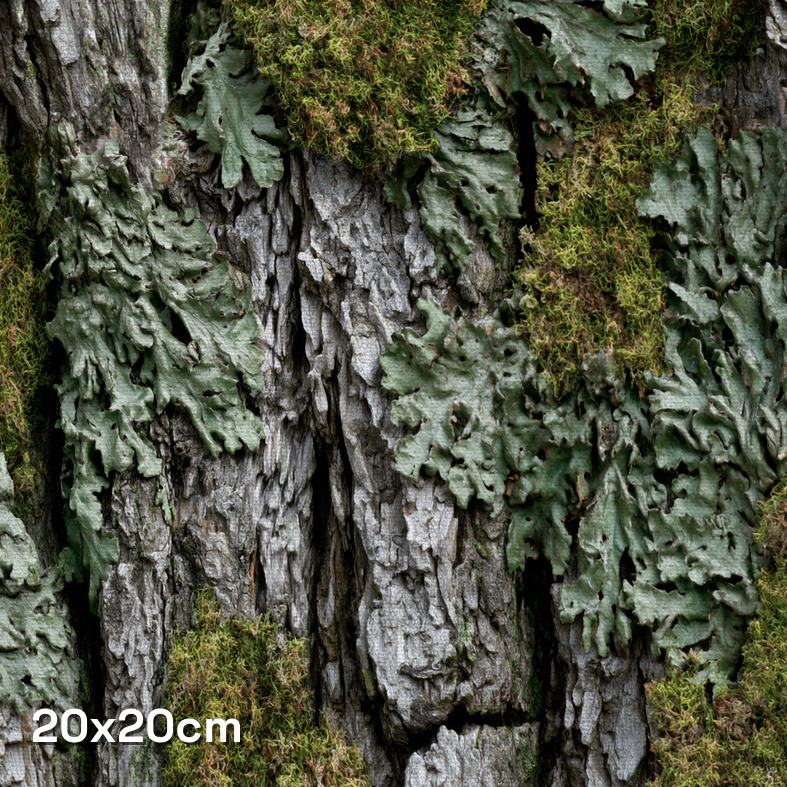 Oak Bark Mossy Camouflage Fabric - Image 3