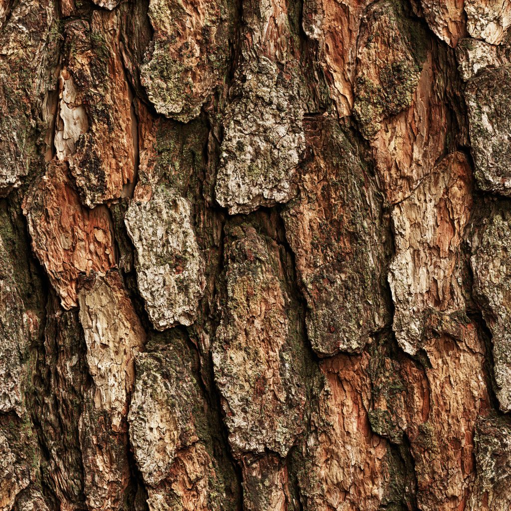Pine Bark Red Camouflage Fabric