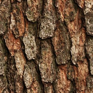Pine Bark Red Camouflage Fabric