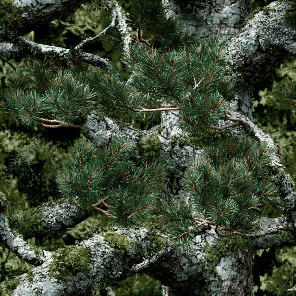 Scandi Pine Woodland Grey Camouflage Fabric