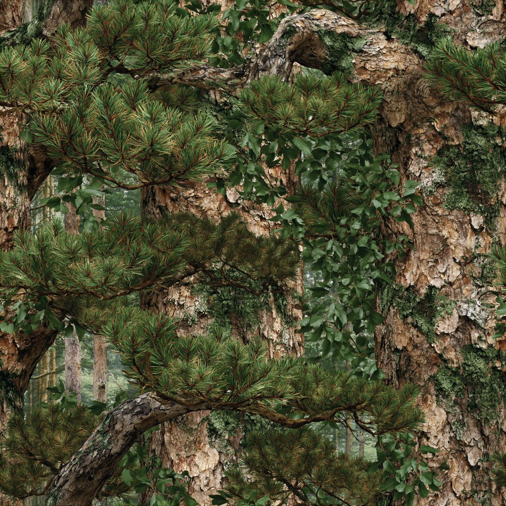Scandi Pine Woodland Camouflage Fabric