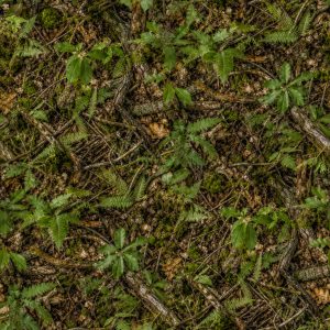 Summer Chestnut UK Camouflage Fabric