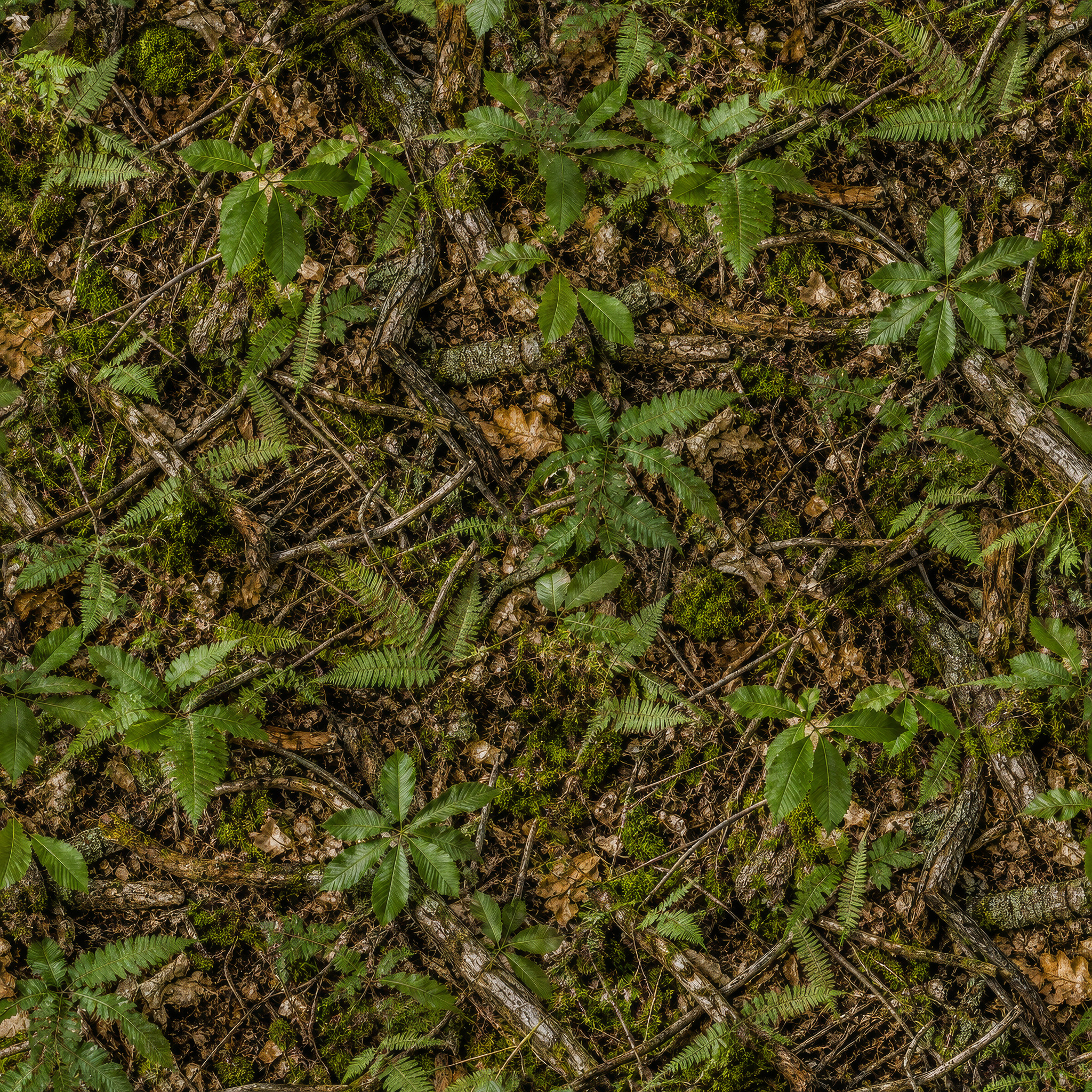 Summer Chestnut UK Camouflage Fabric