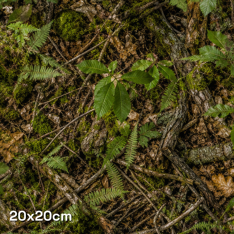 Summer Chestnut UK Camouflage Fabric - Image 3